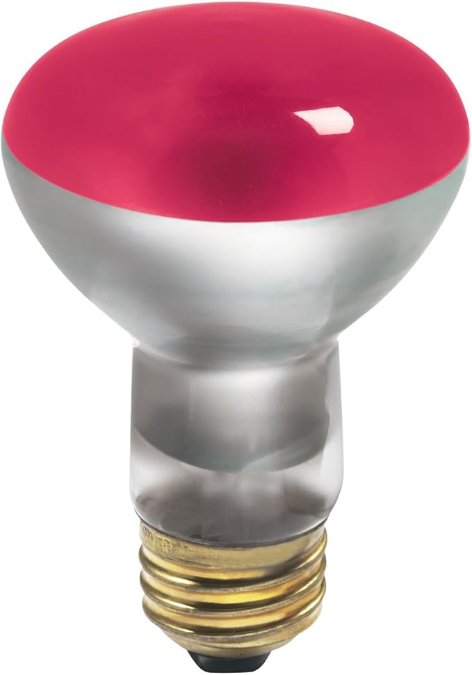 Globe Electric 04304 50watt R20 Flood Incandescent Medium Base Light