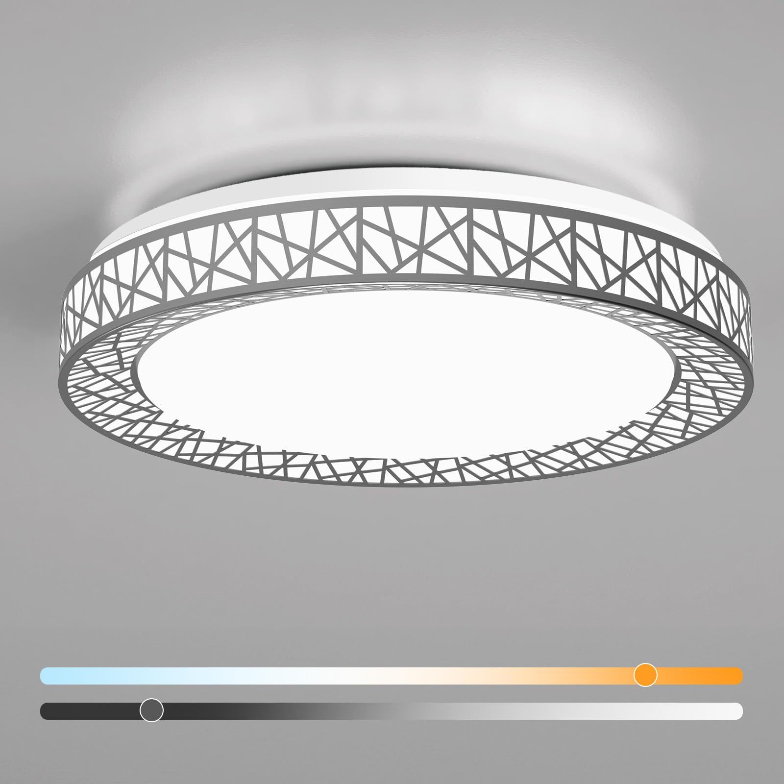 Photo 1 of Lightania 20 Inch Flush Mount Ceiling Light, Modern Brushed Nickel LED Ceiling Light Fixture, 42W 4000LM 2700-6500K Adjustable, Dimmable Ceiling Lights for Bedroom, Kitchen, Hallway, Bathroom, ETL