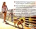 EzyDog Chest Plate No Pull Dog Harness – Escape Proof Harness with Reflective Stitching and Comfort Padding for Easy Walks, Training & Control - Car Restraint Included (Medium, Red)