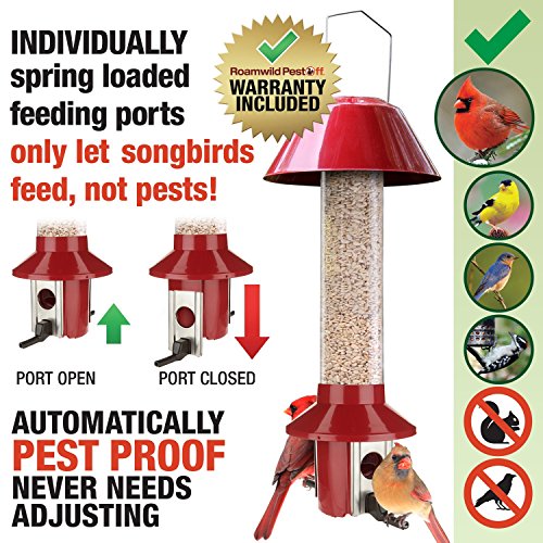 Roamwild Pestoff Red Squirrel Proof Cardinal Bird Feeder Mixed