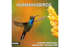 BLYYIEER 2025 Wall Calendar Hummingbird | 12 Monthly Hangable Hummingbird Calendars | 12" x 24" (Open) | Thick & Sturdy Paper for Organizing & Planning | Home and Office | Hummingbird