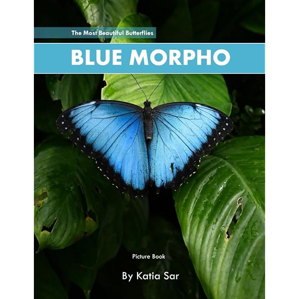 Blue Morphos: Thielges, Alissa: 9781681527833: Amazon.com: Books