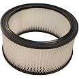 Stens 102-319 Air Filter
