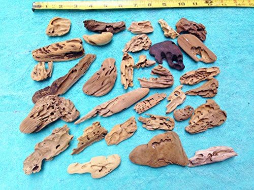 Worm Wood Driftwood 31 Piece ( lot 128) Beach Comber Set Craft Nautical Decor Weddings Bulk Driftwood Wormwood