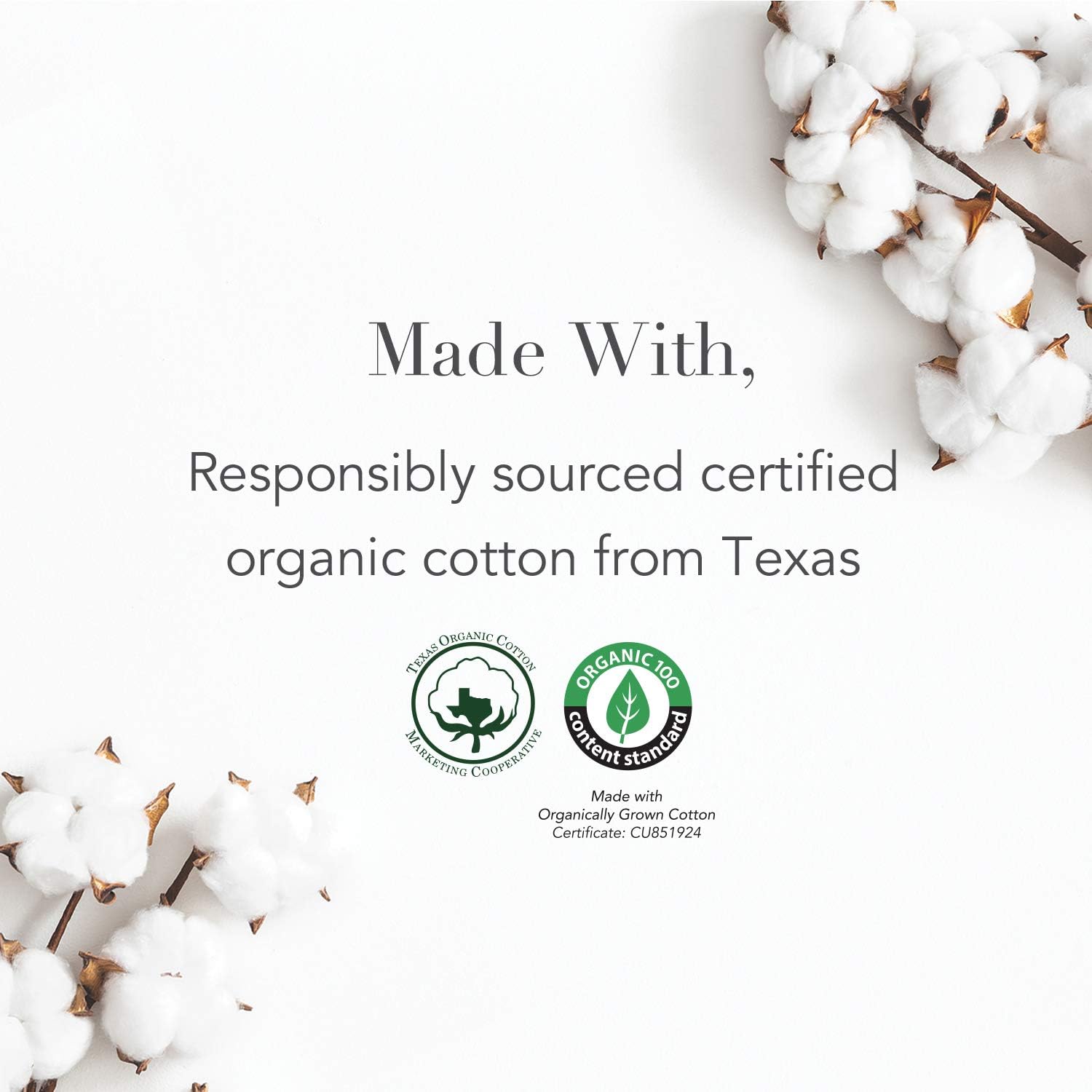Rael Organic Cotton Unscented Tampons - Regular & Super Size, BPA Free Plastic Applicator, Chlorine Free, Ultra Thin Applicator with Leak Locker Technology (32 Count, Bundle): Health & Personal Care