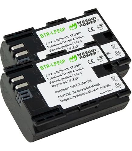 Amazon.com: Wasabi Power Battery for Canon LP-E6P and Canon EOS R5