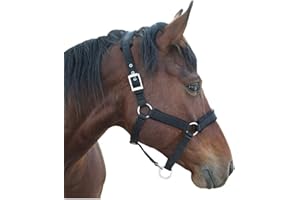 NIUTRIP Horse Halter with Wool Lining, Adjustable Halter for Horses Satin Hardware to Prevent Friction, Breakaway Halters for Horses,Perfect for Traction and Performance