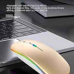 Guiheng Wireless Bluetooth Mouse,LED Dual Mode