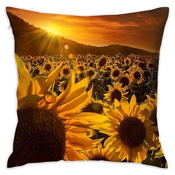Amazon Com Vhng Pillowcase Sunflower Hook Kits For Throw Pillow