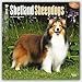 Shetland Sheepdogs 2016 Square 12x12