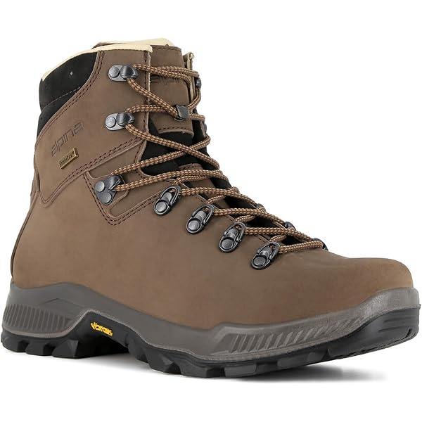 Amazon.com | Zamberlan - 1007 vioz hike gtx rr - leather hiking