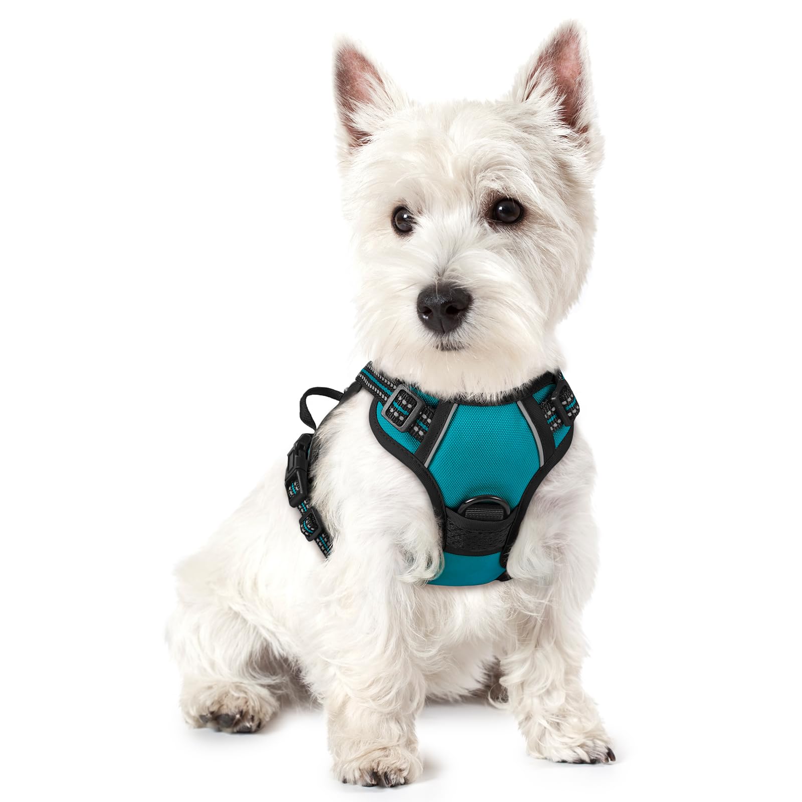 rabbitgoo Dog Harness Small Dog No Pull Pet Harness with 2 Leash Clips, Adjustable Soft Padded Pet Vest, Reflective No-Choke with Easy Control Handle for Training or Walking, Teal, XS