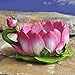 Miniature Fairy Garden Lotus Teacup Planter