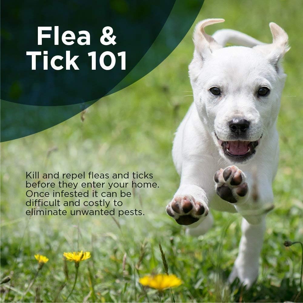 seresto flea collar small dog amazon