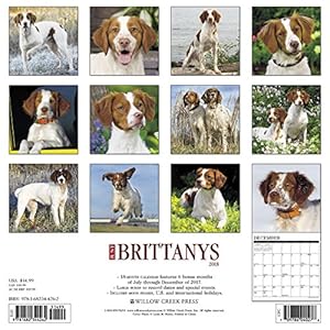 Just Brittanys 2018 Calendar