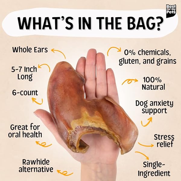 BEST FOR MY PETS PIG EARS FOR DOGS (WHOLE, 6 PACK), HEALTHY, HIGHLY DIGESTIBLE ALL NATURAL PIGS EARS LONG-LASTING DOG CHEWS, PORK DOG CHEW TREAT