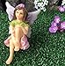 Wonky Hill Miniature Fairy Garden Starter Kit- Fairy Willow 3 Piece Accessory Garden Set