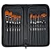 CP Art Watercolor Brushes 15 Piece Acrylic Paint Set – Includes Carrying Case With Brush Stand For Hobby And Face Painting