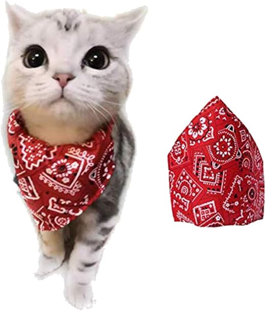cat bandana amazon