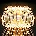 Kohree String Lights Decorative Rope Fairy Strarry Lights for Bedroom Patio Garden Party Wedding Commercial Lighting, USB Plug in 33ft 100 LEDs,Warm White