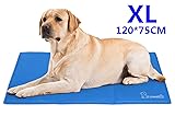 Pecute Alfombrilla de Refrigeración Animales Nevera y Manta para Perro Fresco Co