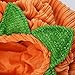 Legendog Dog Halloween Shirt, Pet Clothes, Cute Cat Dog Halloween Pumpkin Costumes, Dog Apparel, Halloween Costumes for Dogs, Creative Halloween Pumpkin Shirts for Dogs