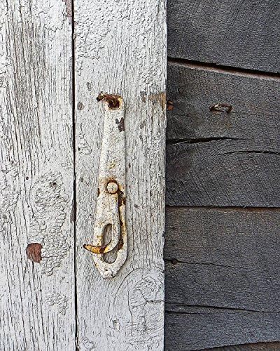 Painted Hook & Eye Lock. Photograph of a painted, weathered, rusty old hook & eye lock hangs from a white shed door next to gray siding. The photo is full of textures and muted colors. Rusty charm!