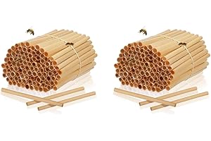 DOITOOL 200 Pcs Mason bee Tubes Natural Reed Bee Tubes Replacement Refills for Insect House Hotel Nesting Habitat Pollinator 