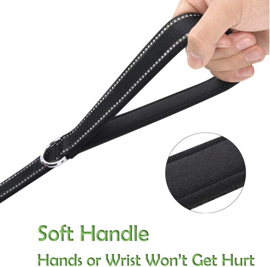 Eco-clean Dog Leash for Large Dogs, 2 Handles for Extra Control, 6 FT Long with Reflective Stitch for Night Walking : Pet Supplies