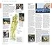 DK Eyewitness Mallorca, Menorca and Ibiza (Travel Guide)
