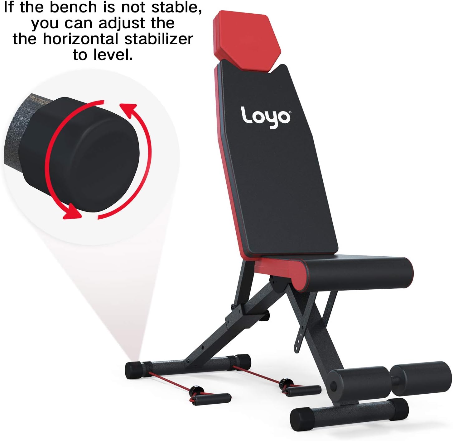 Loyo Adjustable Weight Bench Foldable, Training Bench, Strength Fitness Training Bench for Full Body . Flat Incline Decline Exercise Bench for Home Workout. : Sports & Outdoors