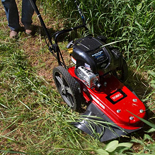 Toro 58620 Walk Behind String Mower, 163cc Briggs and Stratton 4Cycle