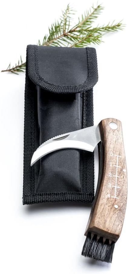 trattamento con funghi delle unghie dei piedi per l'olio dell'albero del tè all'unghia del piede