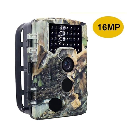 SPRIS Cámara de Animales Salvajes, Campo 1080P visión Nocturna por ...