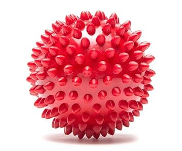Lal Pet Wowdogbox Spiked Rubber Ball for Dog Training