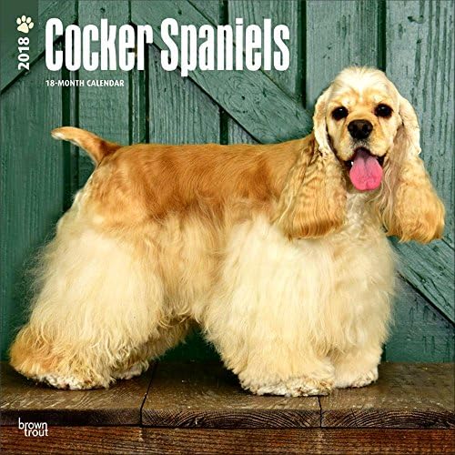 Cocker Spaniels Calendar 2018 - Deluxe Wall Calendar (12x12)