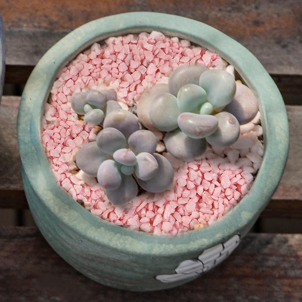 Hardscaping Materials - Pink Fairy Garden Rocks Mini Crusehd Rose Gravels Small Terrarium Soil Cover River Pebble Stones for Succulent Planter,Air Plant,Hawaii Breeze Wedding Unity Sand Decoration,Bonsai,Bamboo,1.1 LB