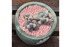 HappyFiller 1.1 LB Pink Fairy Garden Rocks Mini Crusehd Gravels Small Terrarium Soil Cover River Pebble Stones Succulent Planter Topper Dressing,Bonsai Fairy Garden,Wedding Ceremony Unity Sand