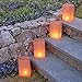 LumaBase 50112 12 Count Plastic Luminaria Bags, Tan