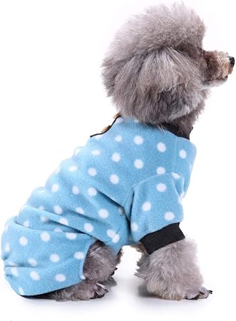 accesorios perros amazon