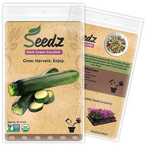 CERTIFIED ORGANIC SEEDS (Appr. 60) - Dark Green Zucchini Squash Seeds - Heirloom Seeds Squash Collection - Non GMO, Non Hybrid Vegetable Seeds, USA
