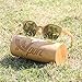 Ynport Mens/Womens Polarized Kat-Eye Bamboo Sunglasses,Wooden Coated Sunglasses, Vintage Eyewear, Floating in Water,for Men and Women