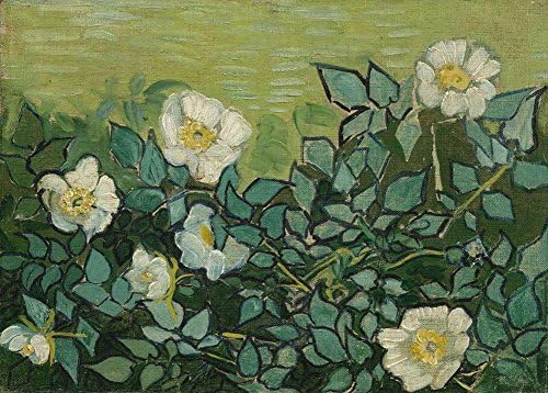 Neron Art Fully Textured 3D Printed Canvas Reproduction Unmounted Fine Art - 40X30 cm (approx. 16X12 inch) Van Gogh Wild Roses Landscapes Paintings Wall Art for Living Room