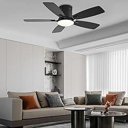 Ayaoty Ceiling Fans with Lights, 42 inch Low