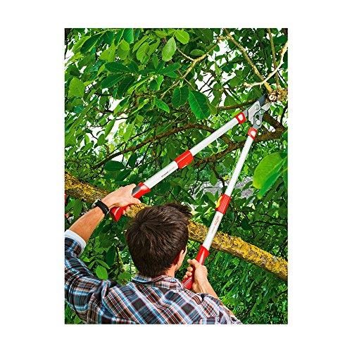 WOLF-Garten Telescoping Anvil Lopper 35.5" - RS900T