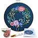 Caydo Rose Garden Embroidery Starter Kit Cross Stitch Kit Including Embroidery Cloth with Printed Pattern for Beginner