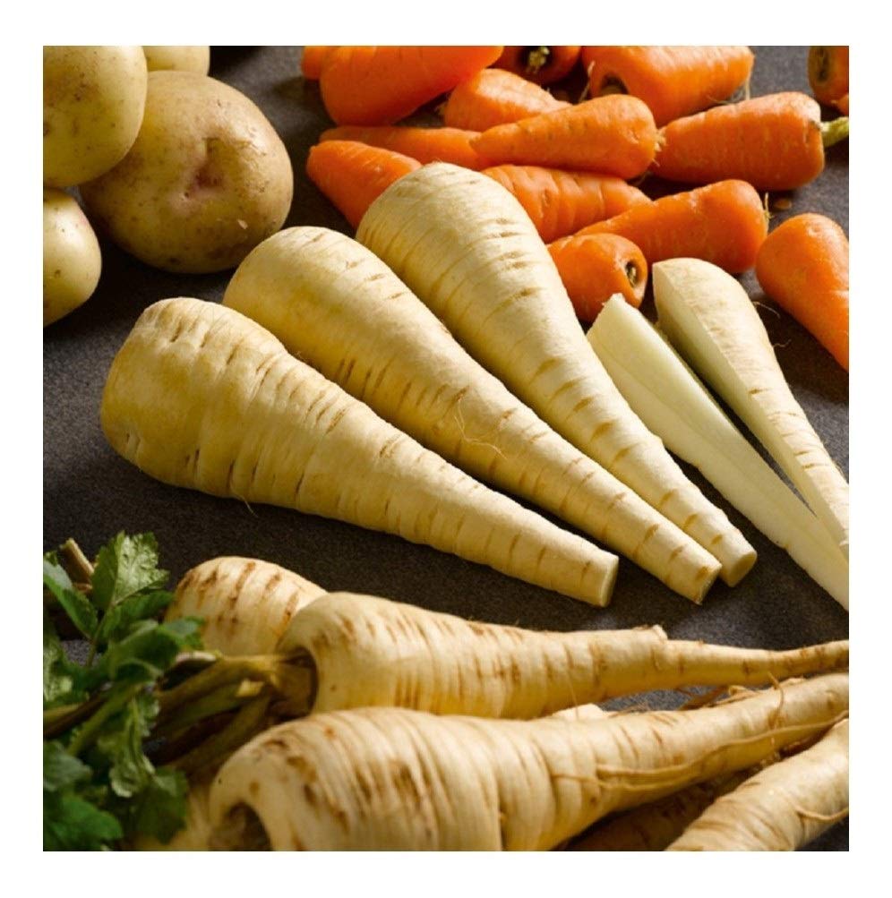 PREMIER SEEDS DIRECT - Parsnip Seeds - Tender and True - 300 Seeds (Organic)