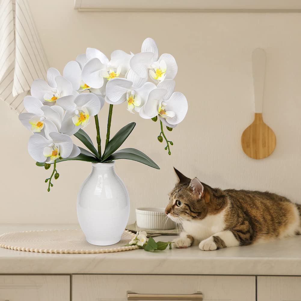 View 5