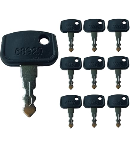 Amazon.com: Firmusparts RC411-53933 2PCS Ignition Key 459A