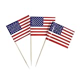 100 Pack USA American Flag US Toothpick